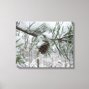 Toile Branche des pins neigeux Photographie de la nature