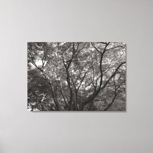 Toile Branche japonaise II (Recto)
