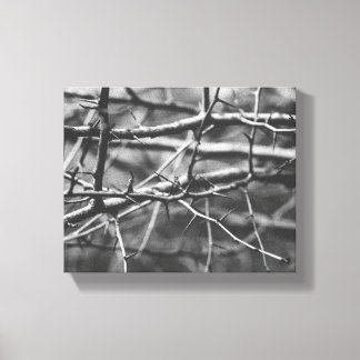 Toile Branches avec épines