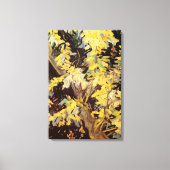 Toile Branches d'acacia en fleurs par Vincent van Gogh (Recto)