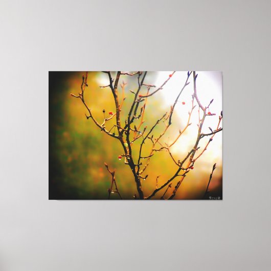 Toile Branches d'arbre nues dans la brume (Recto)