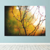 Toile Branches d'arbre nues dans la brume (Insitu (Plancher de Bois))