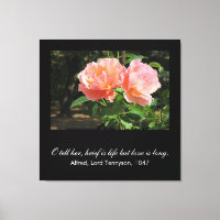 Bref, c'est la vie, mais l'amour est long (Alfred