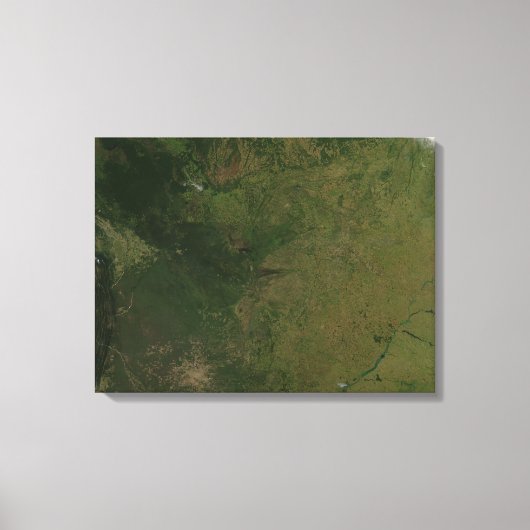 Toile Brésil (Recto)