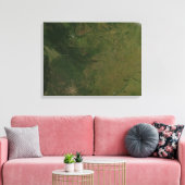 Toile Brésil (Insitu(Salon))