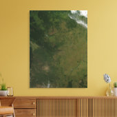 Toile Brésil (Insitu(Salon))