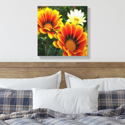 Toile Bright African Daisies (Insitu(Chambre))