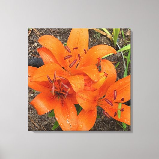 Toile Bright Orange Day Photo Canvas Art (Recto)