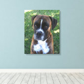 Toile Brindle Boxer Chien Photo Mur Canvas (Insitu (Plancher de Bois))