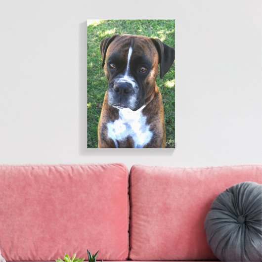 Toile Brindle Boxer Chien Photo Mur Canvas (Insitu(Salon))