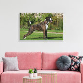 Toile Brindle Boxer Dog Show Stance (Insitu(Salon))