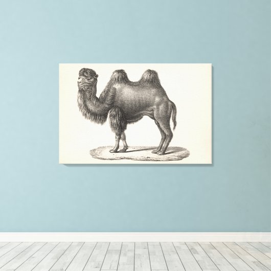 Toile Brodtmann Camel Sketch (Insitu (Plancher de Bois))