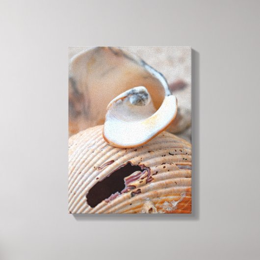 Toile Broken Beauties (Recto)