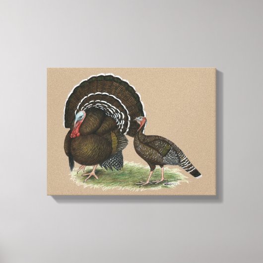 Toile Bronze standard de Turkey (Recto)