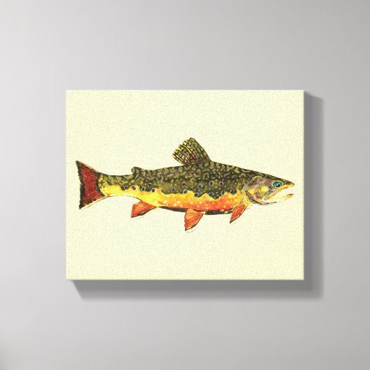 Toile Brook Trout (Recto)