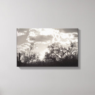 Toile Brosse Retard Sonoran Desert B&W Photo Art Imprime
