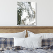 Toile Brouillard et neige dans le Pacifique Nord-Ouest ( (Insitu(Chambre))