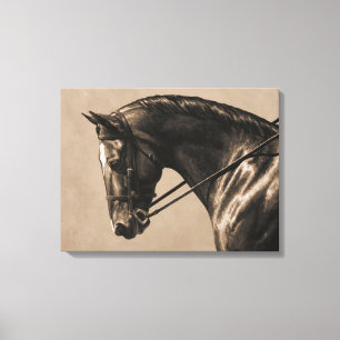 Toile Brown Bay Oldenburg Horse Portrait Sepia