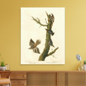 Toile Brown Creeper, Pygmy Nuthatch des oiseaux d'Audubo (Insitu(Salon))