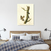 Toile Brown Creeper, Pygmy Nuthatch des oiseaux d'Audubo (Insitu(Chambre))