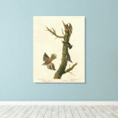 Toile Brown Creeper, Pygmy Nuthatch des oiseaux d'Audubo (Insitu (Plancher de Bois))