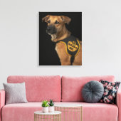 Toile Brown rescue dog with adopt vest (Insitu(Salon))