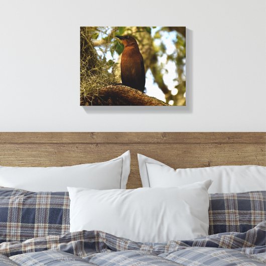 Toile Brown Thrasher Bird (Insitu(Chambre))