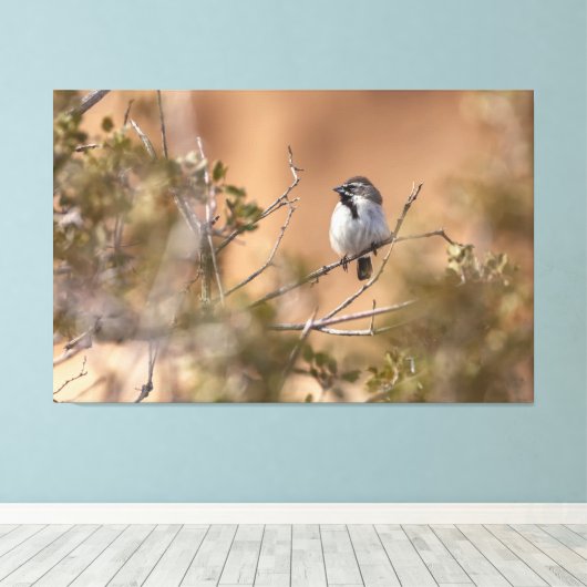 Toile Bruant à gorge noire (Insitu (Plancher de Bois))