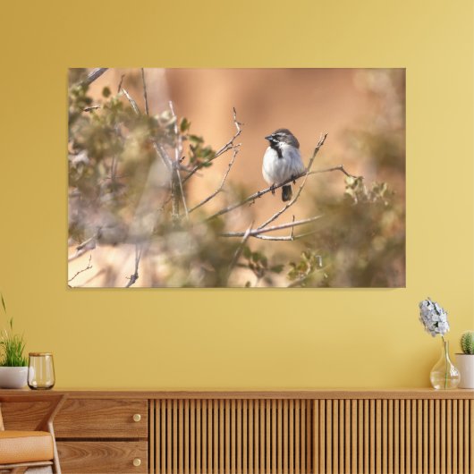 Toile Bruant à gorge noire (Insitu(Salon))