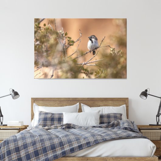 Toile Bruant à gorge noire (Insitu(Chambre))