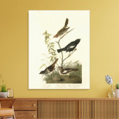 Toile Bruants, Bruants de Lark, Oiseaux d'Amérique d'Aud (Insitu(Salon))