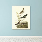 Toile Bruants, Bruants de Lark, Oiseaux d'Amérique d'Aud (Insitu (Plancher de Bois))