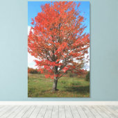 Toile Brûler l'érable rouge à l'automne (Insitu (Plancher de Bois))