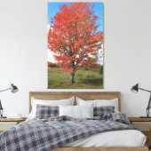 Toile Brûler l'érable rouge à l'automne (Insitu(Chambre))