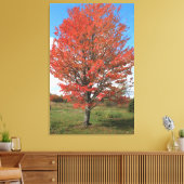 Toile Brûler l'érable rouge à l'automne (Insitu(Salon))