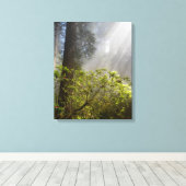 Toile Brume matinale sur Rhododendron (Insitu (Plancher de Bois))