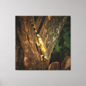 Toile Bucerias Iguana 1069 Art (Recto)