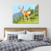 Toile Buck (Insitu(Chambre))