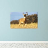 Toile Buck Whitetail (Insitu (Plancher de Bois))