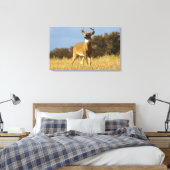 Toile Buck Whitetail (Insitu(Chambre))