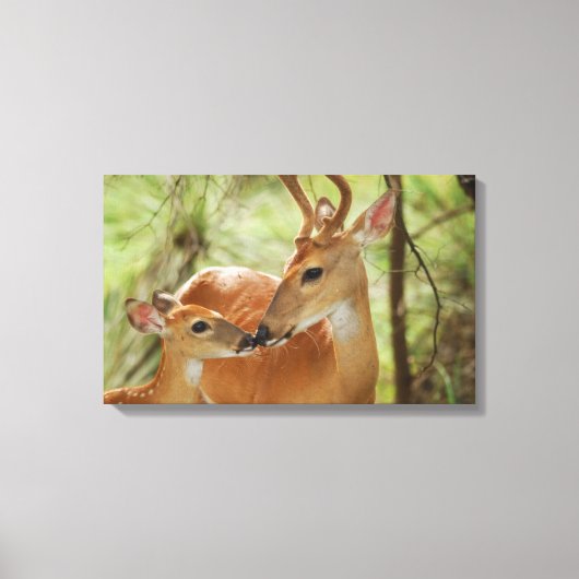 Toile Buck Whitetail Et Bonification De La Faune (Recto)