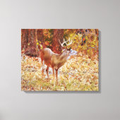 Toile Buck Wild Deer in Woods Canvas Imprimer (Recto)