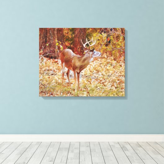 Toile Buck Wild Deer in Woods Canvas Imprimer (Insitu (Plancher de Bois))