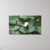 Toile Budding Spirituellement (Recto)