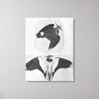 Budgets, de l'Album Vallardi