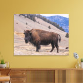 Toile Buffalo Bison American Wildlife (Insitu(Salon))