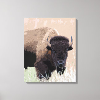 Toile Buffle / Bison