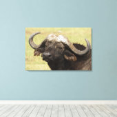 Toile Buffle d'Afrique, Syncerus caffer (Insitu (Plancher de Bois))