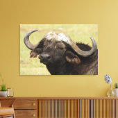 Toile Buffle d'Afrique, Syncerus caffer (Insitu(Salon))