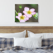 Toile Bufs en Dogwood du début du printemps (Insitu(Chambre))